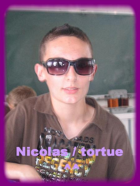 tortue ^^ 